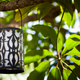 Illustration for article titled Muttart Conservatory - Tamron 90mm Review